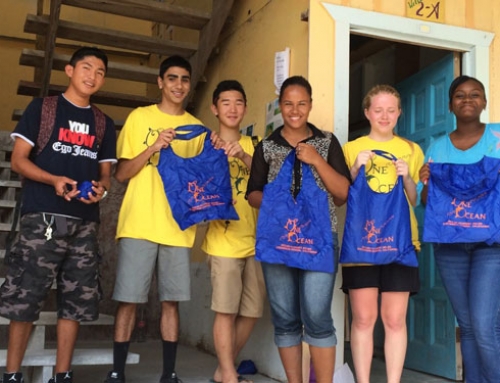 Ocean Guardian School Grant for Reusable Shopping Bag Project